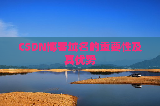 CSDN博客域名的重要性及其优势